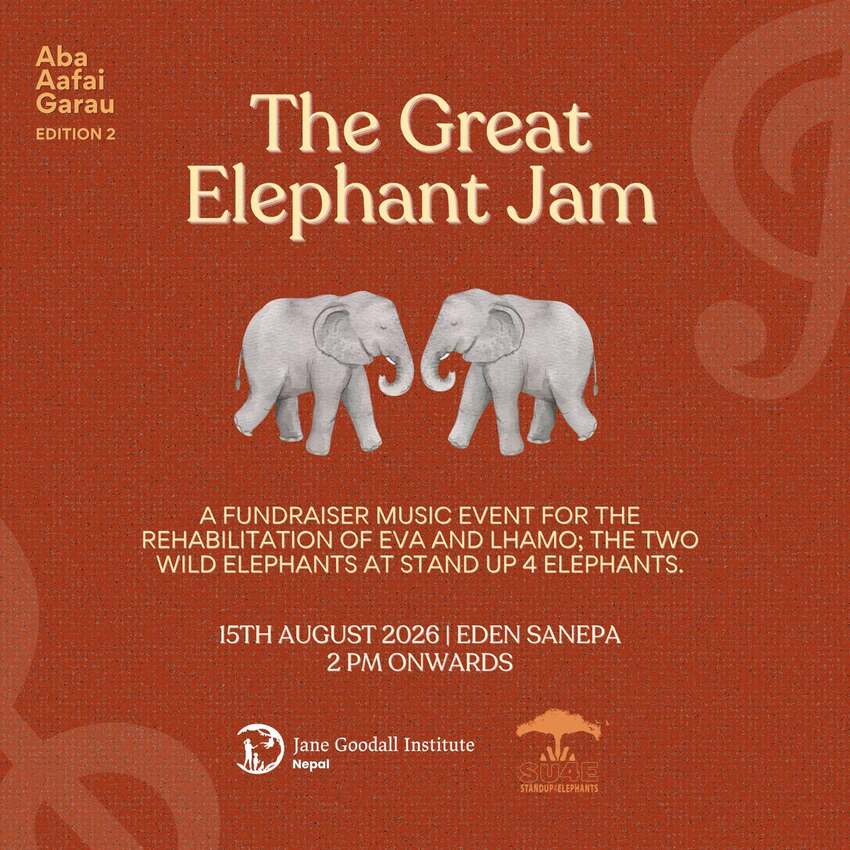 Aba Affai Garau (Edition 2) The Great Elephant Jam